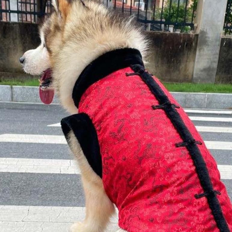 GHN PET TREE ( GIRL 3XL & 6XL ONLY ) Qibao Jumbo Anjing Besar Baju Imlek Sincia Konyen Golden Malamu