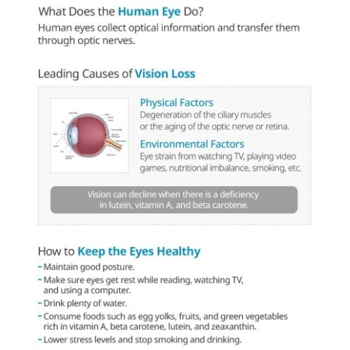 ATOMY EYE LUTEIN | Melindungi retina untuk memastikan penglihatan yang jelas