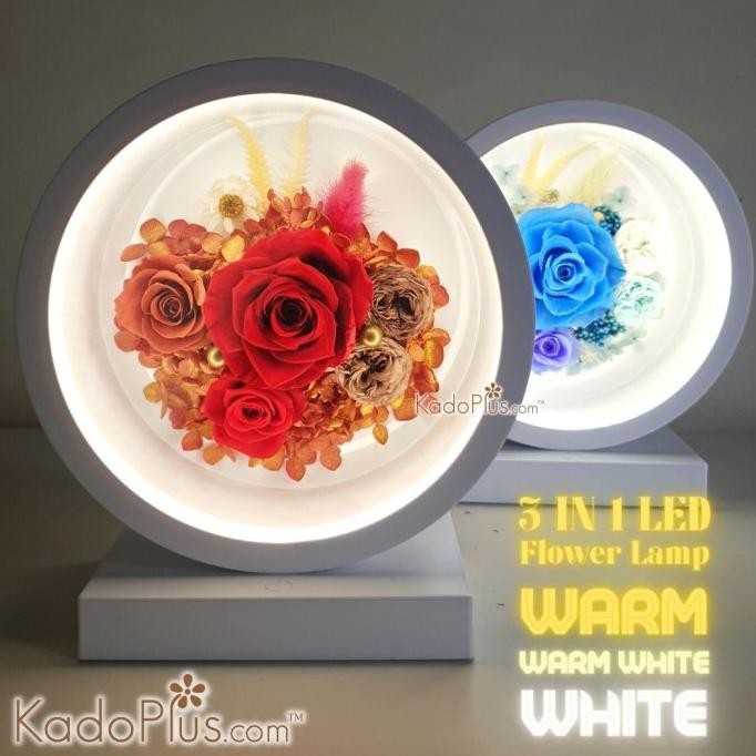 

PROMO TABLE LAMP AND PRESERVED FLOWERS DENGAN LED 3 COLORS TABLE LAMP