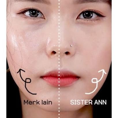 SISTER ANN SMART FIT COVER CUSHION