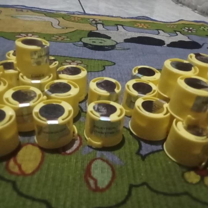 tutup segel gas 12kg(100)