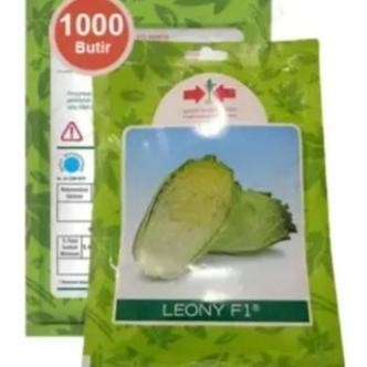 

Leony 10Gr Benih Sawi Putih Produk Original Pabrik