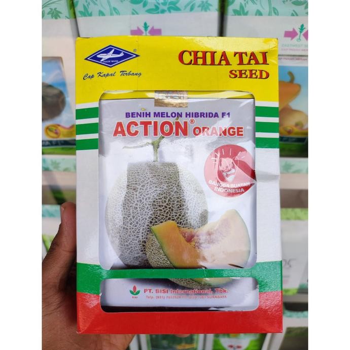 Benih Melon ACTION ORANGE (550 Biji) - Bibit Cap Kapal Terbang BISI F1