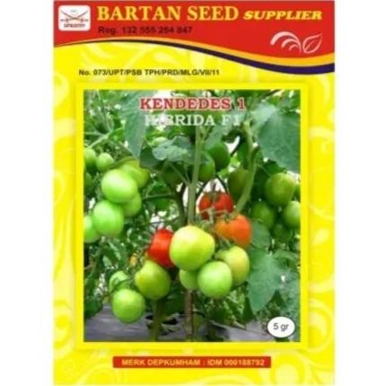Kendedes Dt 5 Gr Benih Tomat Kendedes - Ken Dedes Tomat - 5Gram Produk