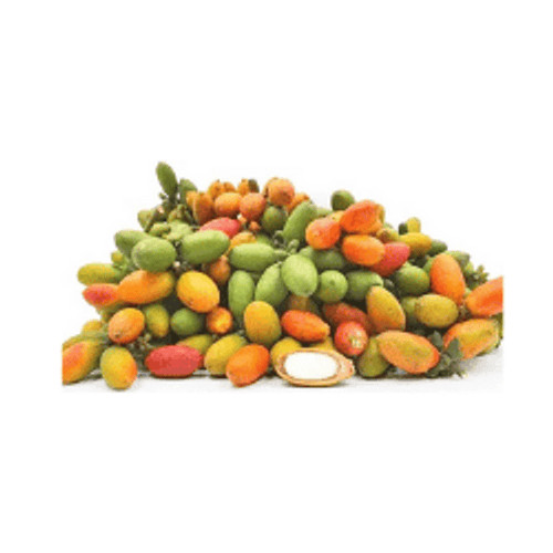

Melinjo 100g oFresh Batam