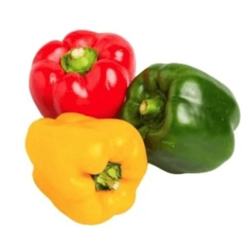 

Paprika Mix 200g oFresh Batam