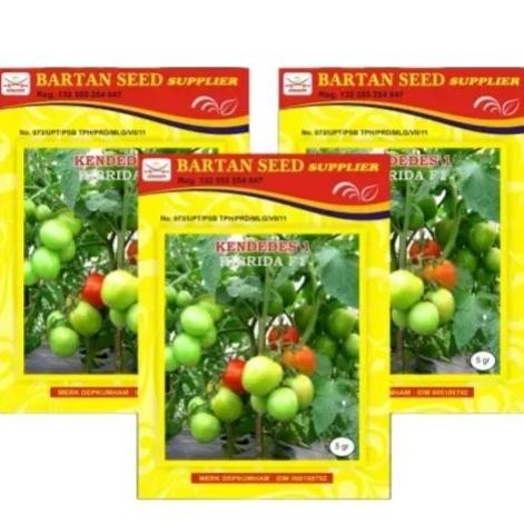 Kendedes Dt 5 Gr Benih Tomat Kendedes - Ken Dedes Tomat - 5Gram Produk