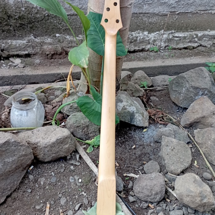 Neck Bass SGR Schecter C-5 String