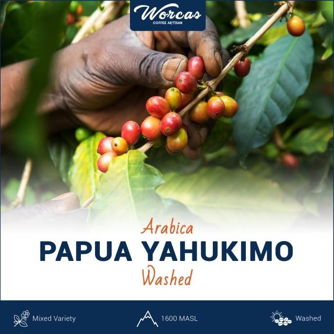 Terlaris Papua Yahukimo Arabica Green Bean 1Kg (Biji Kopi Mentah)