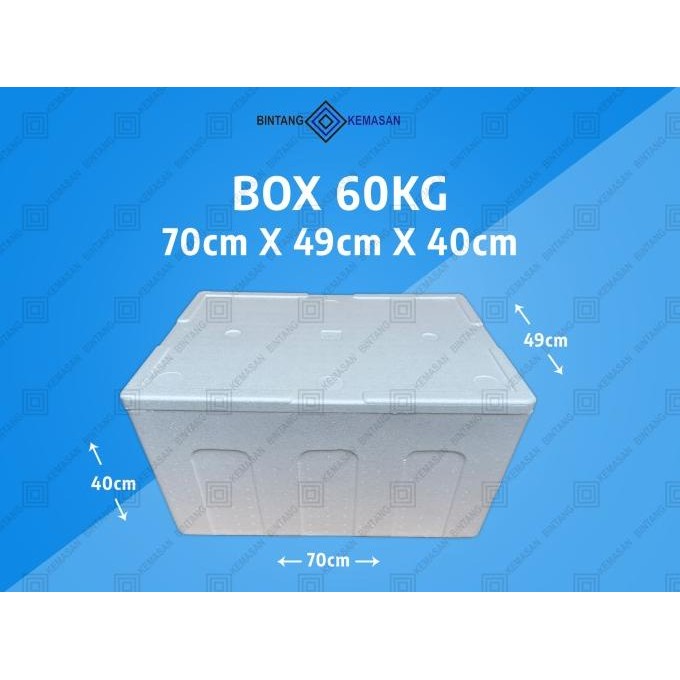 

TERSEDIA STYROFOAM BOX 60KG 70 X 49 X 40CM BOX FOAM