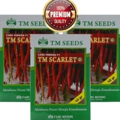 Scarlet 10Gr Benih Cabai Tm Scarlet F1 10Gr Hibrida Tani Murni