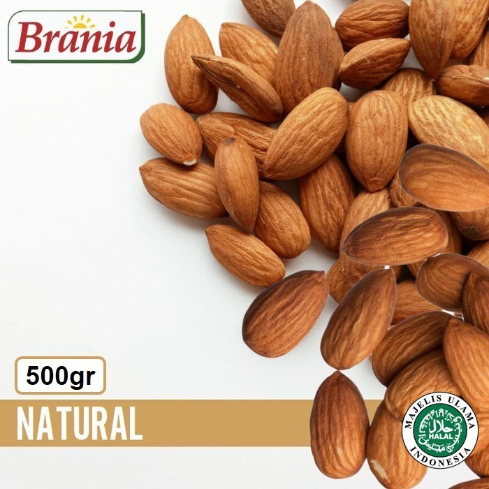 

Kacang Almond Panggang Rasa Natural 500gr/Roasted Almond Natural CUCI GUDANG