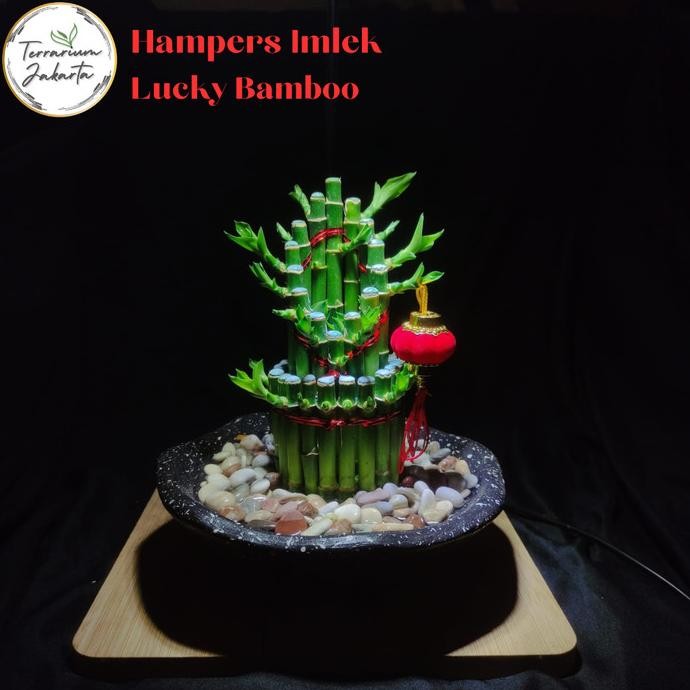 

''Terlaris" Hampers Imlek 2024 - Lucky Bamboo Murah