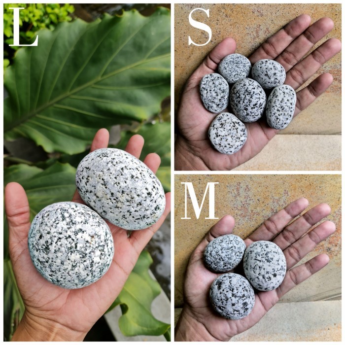 Batu Koral Telur Puyuh