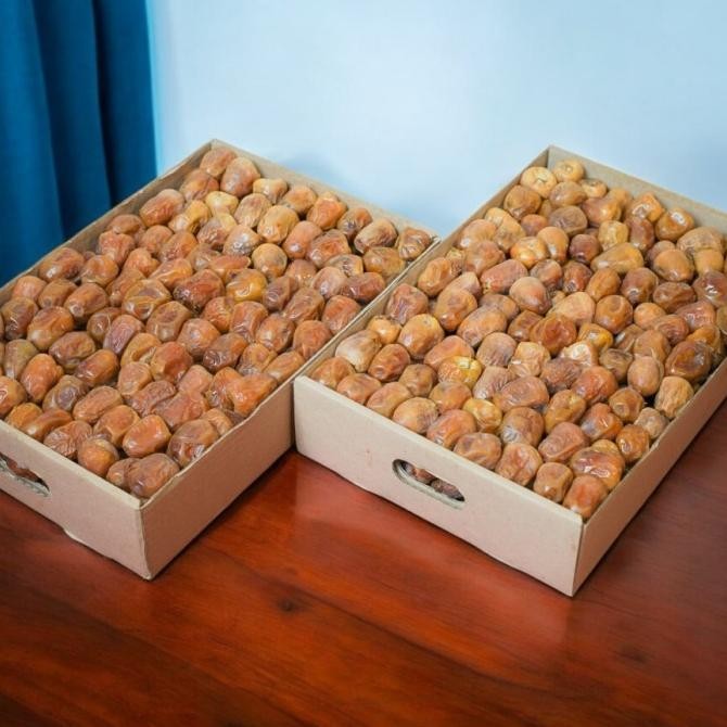 

Baru Kurma Sukari 3Kg | Kurma Sukari Al Qasim 3Kg