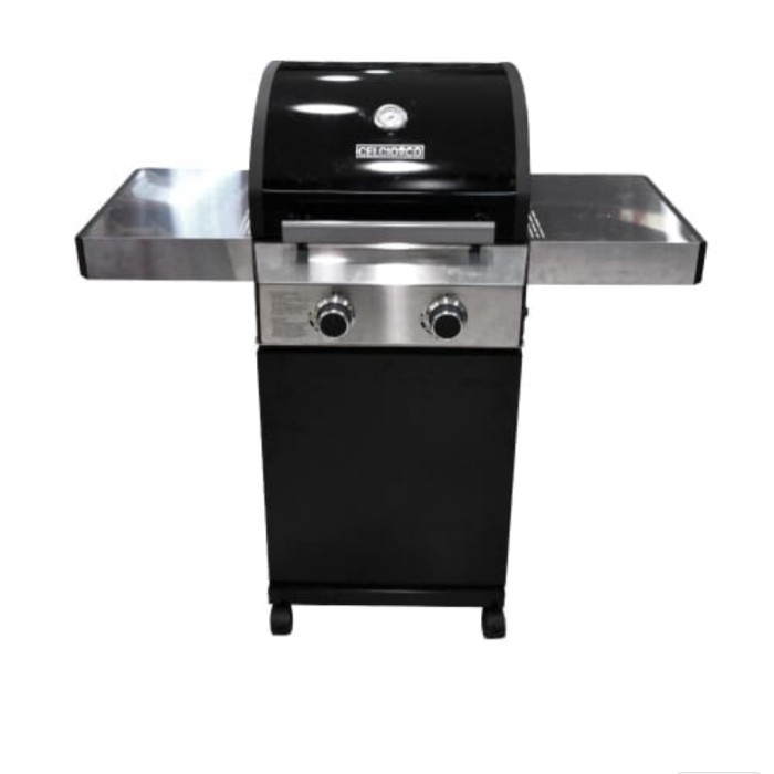 Yanan Gas Grill 2 Burner