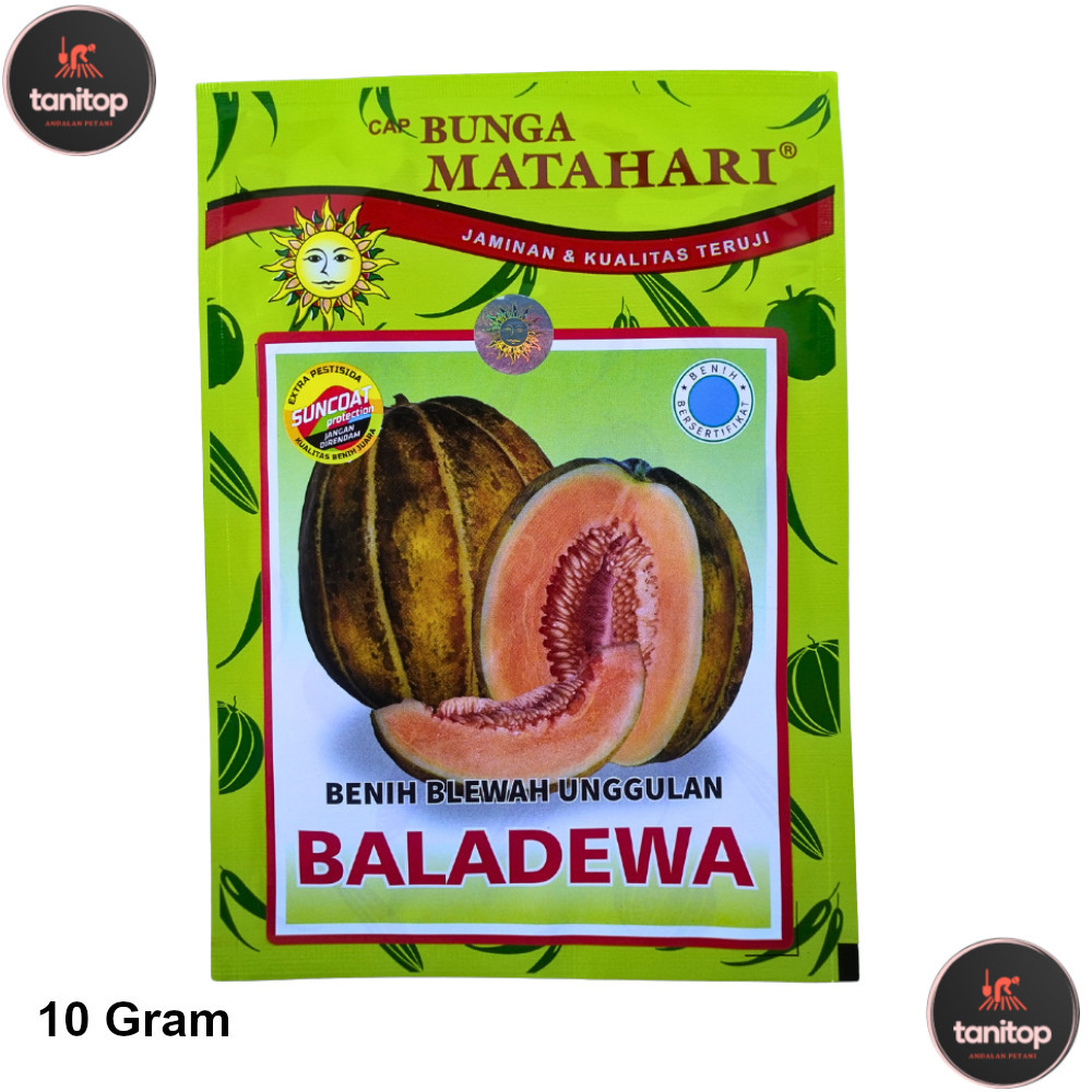 Benih Blewah Baladewa 10 Gram Blewah Bisma Buang Matahari Seed