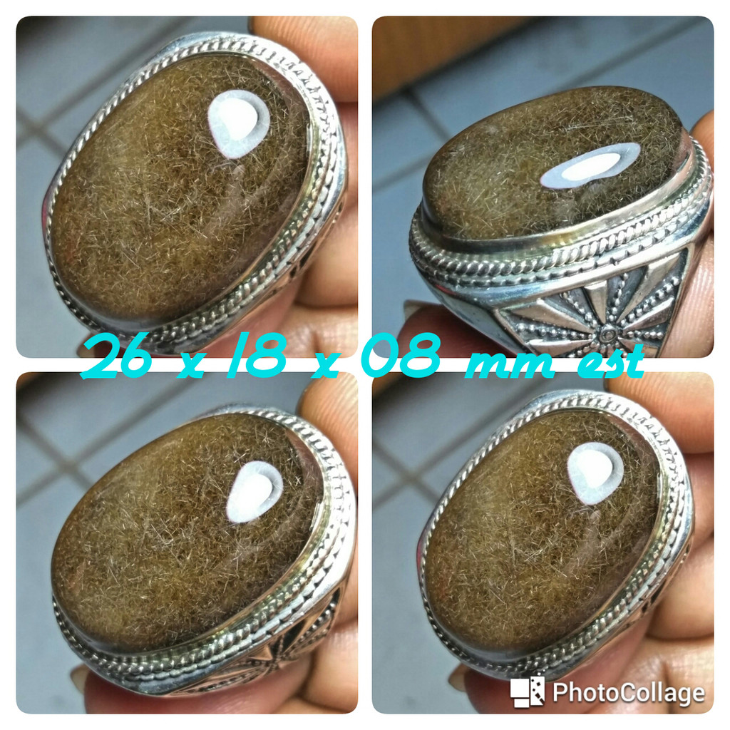 Bulu Macan Lumajang Asli Rare Item Big Size Goyang Matrix 3D Jenis Bulu Duri Bayam Emas Super No Minus
