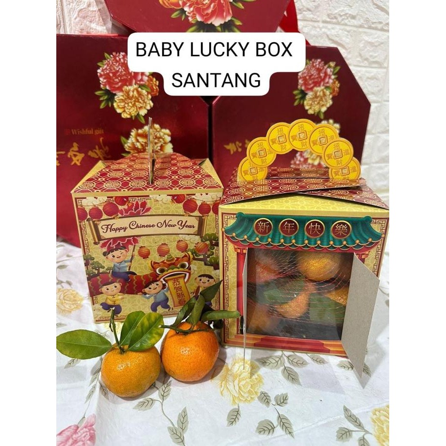 

Fgh Hampers Jeruk Santang. Jeruk Hdl. Jeruk Kecil Mini Premium. Cny. Imlek