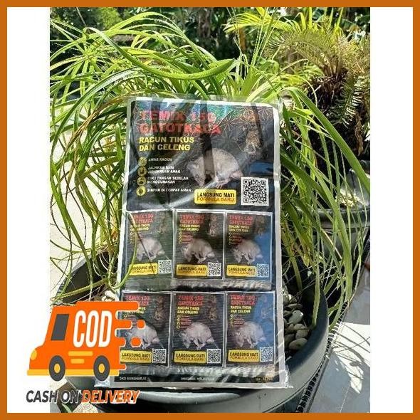 Flash Sale Terlaris Temix Racun Tikus  Reteng Gatotkaca Grosir
