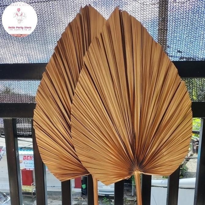 %%%%] daun kering palem kipas emas leaf palm gold tinggi 90 cm dekorasi