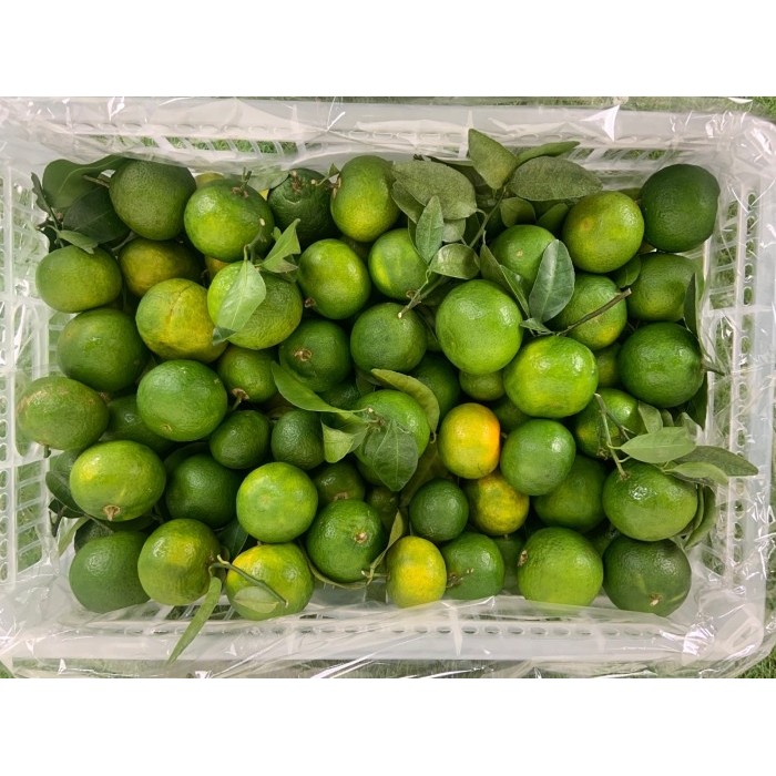 

Jeruk Shantang Madu Manis Green 6 kg / keranjang