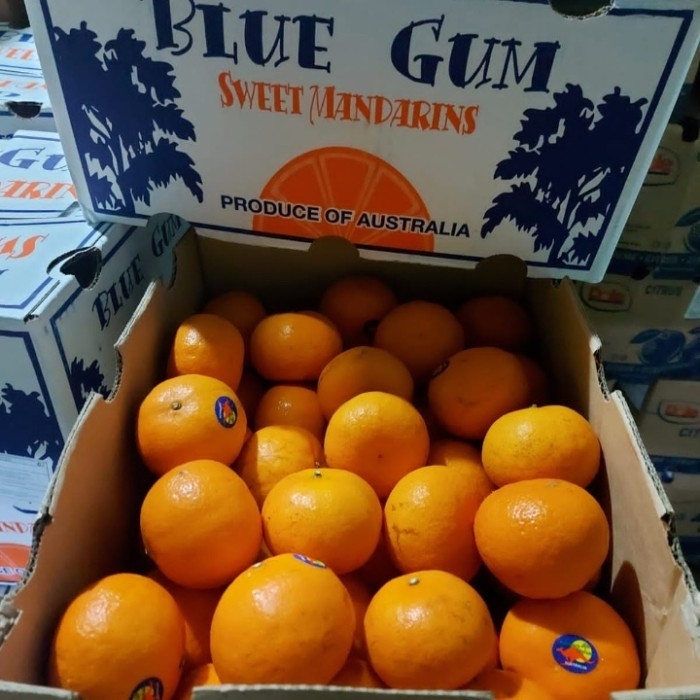 

buah jeruk honey murcot australia 8,5 kg/ jeruk fresh import/ kado