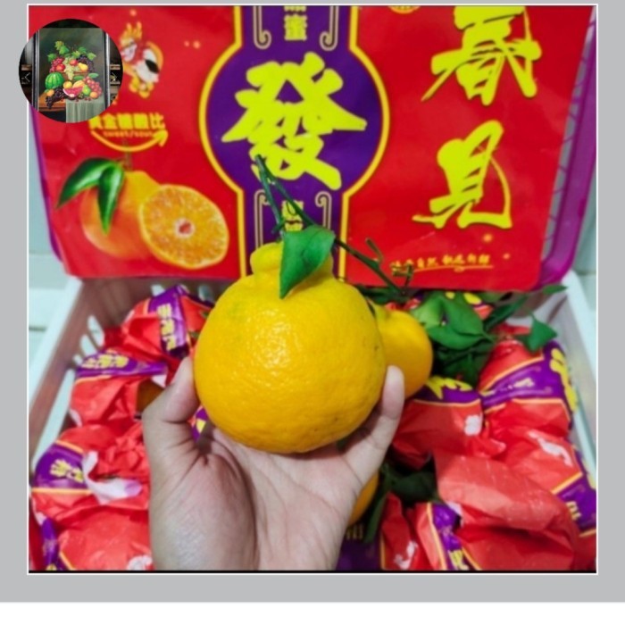 

jeruk dekopon buah