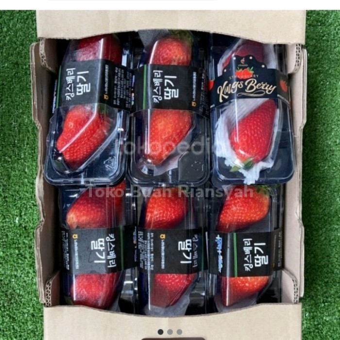 

strawberry Korea kings berry korea 1 dus