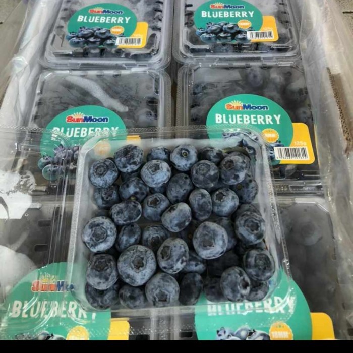buah fresh blueberry premium fresh infort per pack