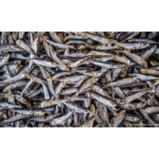 

IKAN KERING MANDRING / IKAN TERI MANDRING Bisa COD