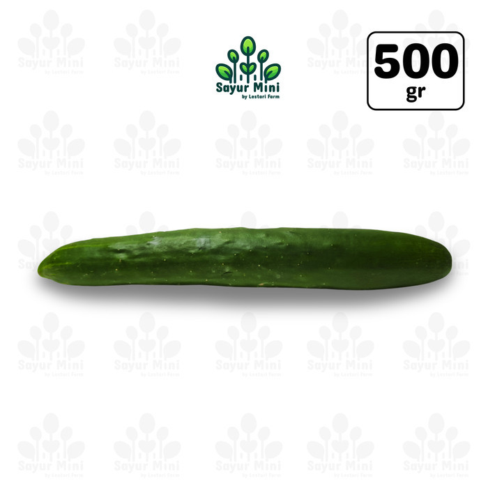 

Kyuri 500gr - Timun Jepang / Cucumber - Timun Sushi - Sayur Fresh by Sayur Mini