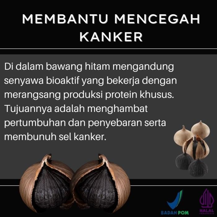 

Bawang Hitam Tunggal Lanang Black Garlic Tunggal 100Gr Serambi Botani Termurah 100 % Original