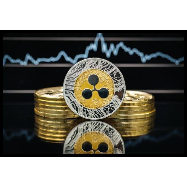 Coin Koin Fisik Crypto Seni Doge Ethereum Shiba Ripple Bitcoin Binance