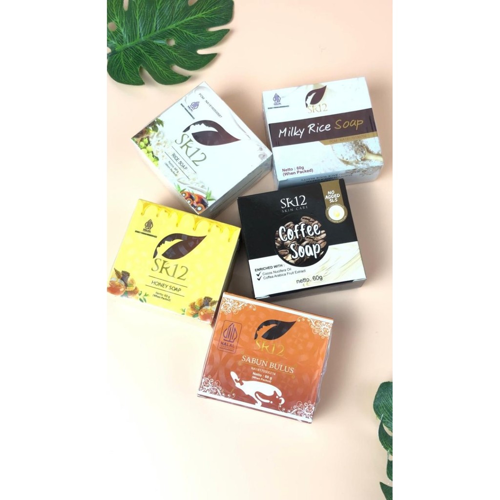 Paket Pemula Komplit Sr12 Perawatan Skincare Alami & Aman