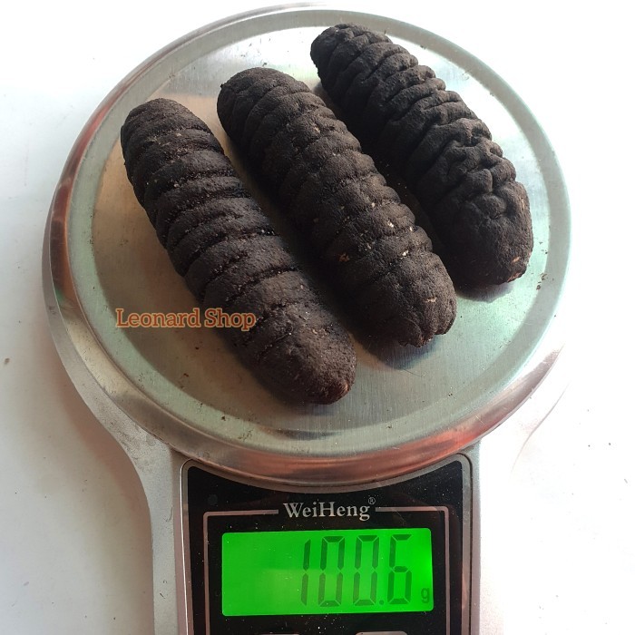 HAISOM BESAR SUPER 100GRAM BANGKA BELITUNG KERING TERIPANG GOSOK GAMAT