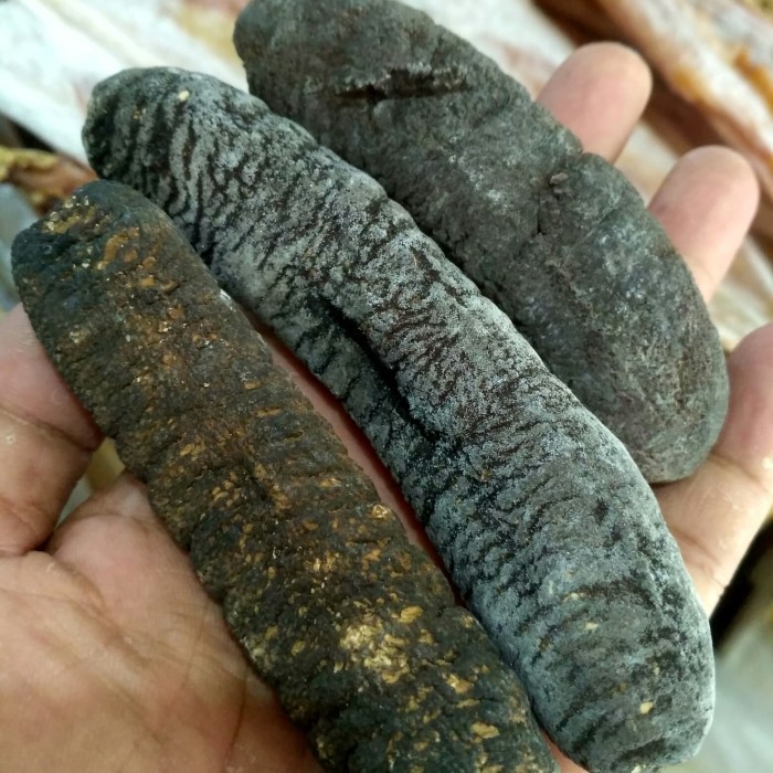 

TERIPANG BELITUNG KERING PREMIUM 1 KG