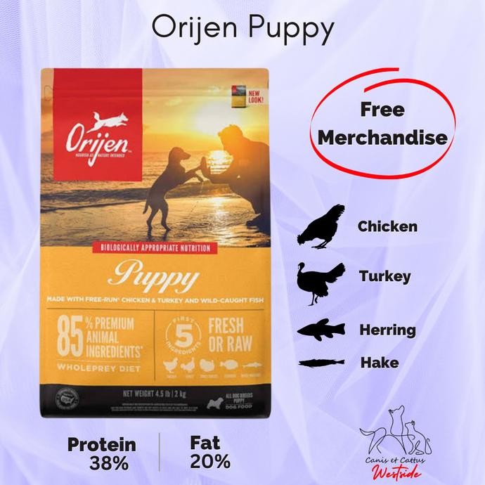 Murah Orijen Puppy 6 Kg (Dog Food)