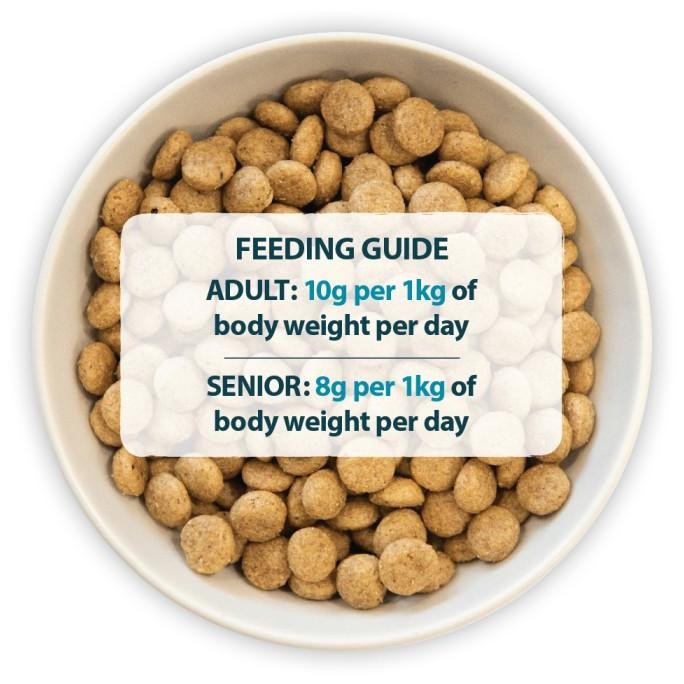 Promo Burns Hypoallergenic Sensitive Pork & Potato Adult & Senior All Breeds 2Kg - Makanan Anjing Ke