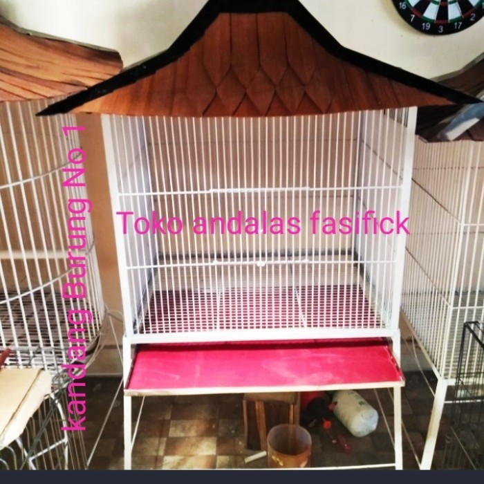 TERBARU kandang Ayam pelung Ayam ketawa Burung dan lain lain
