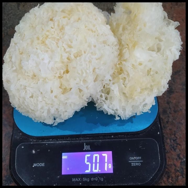 

50 Gram Jamur Putih/Bok Nie