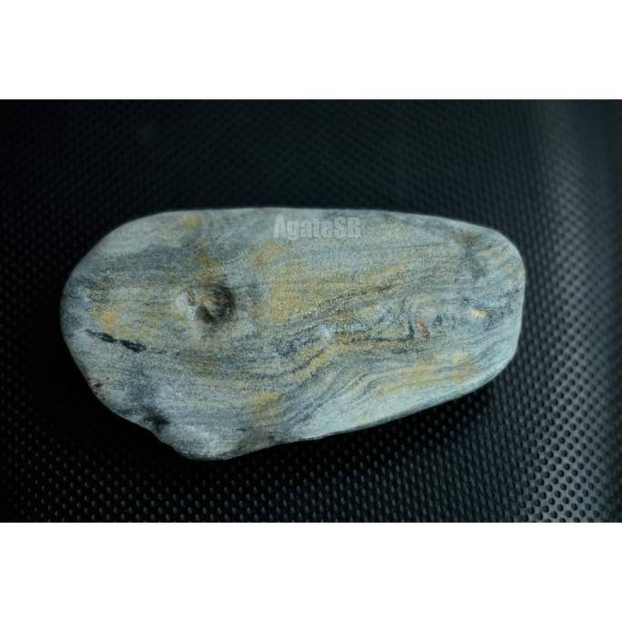 Batu Fossil Kepala Binatang Purba mungkin DInosaurus