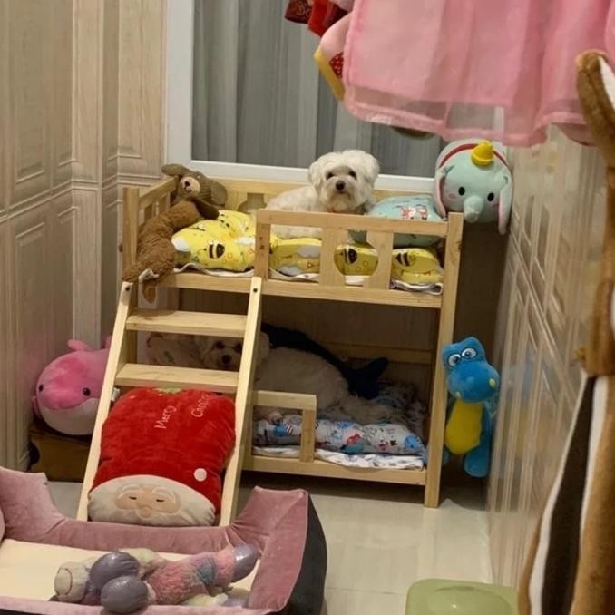 kasur anjing / kucing ranjang hewan kayu jati Belanda