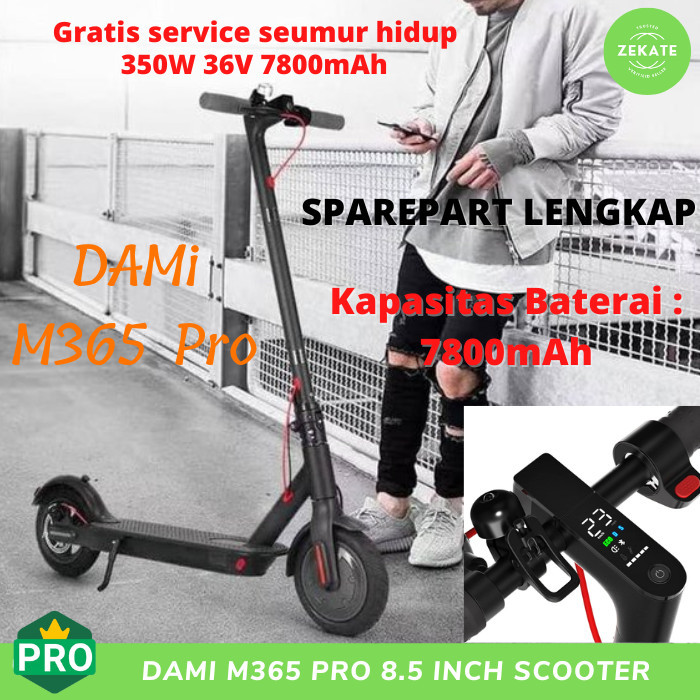 TERLARIS 8.5 Inch Wheel Foldable Electric Scooter