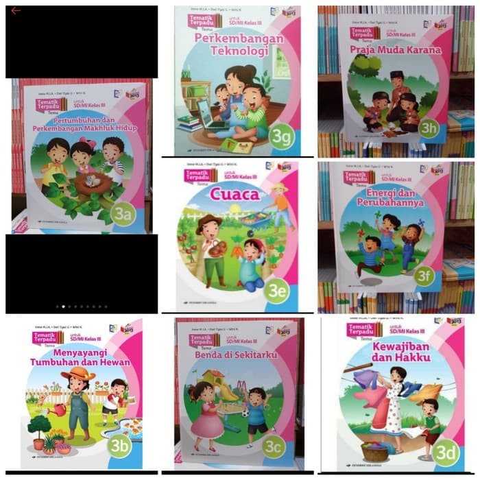 

BOOM SALE ORI paket satu tahun buku tematik terpadu k13 erlangga kelas 3