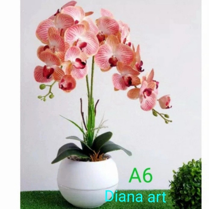 Anggrek Jumbo Latex#Anggrek Bulan Latex#Anggrek Hias#Bunga Anggrek# #Gratisongkir #Sale #Discount