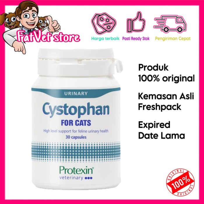 Terbaru Cystophan obat urinary saluran kencing kucing mirip cystaid