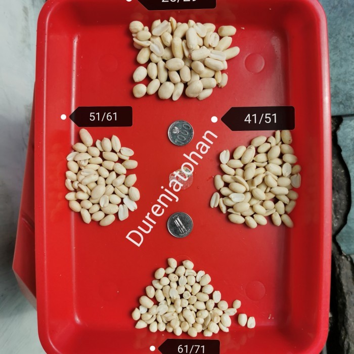 

KACANG TANAH KUPAS UKURAN 41/51 1 DUS 25KG BY OJOL ONLY