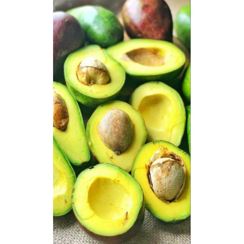 

Buah alpukat import premium