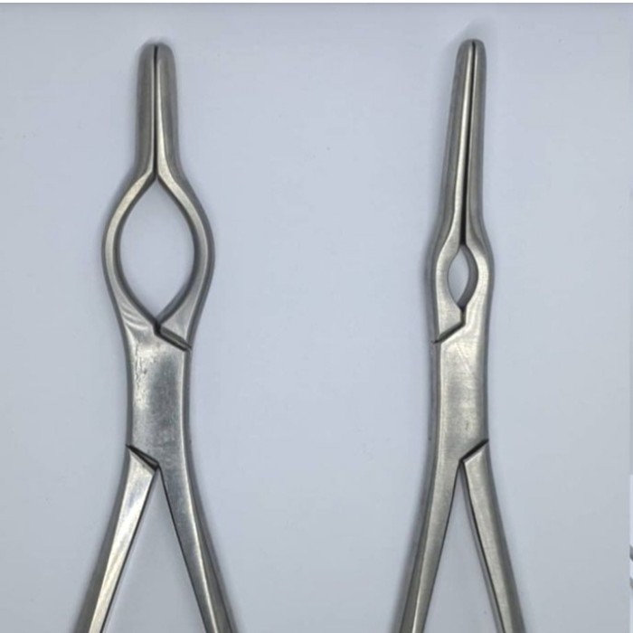 asch/ walsham septum forceps